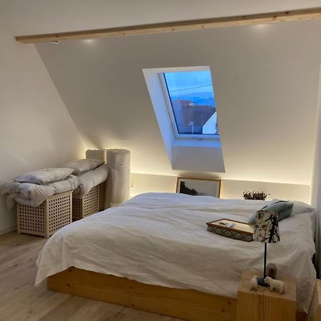 Neues Penthouse-Loft Mit Konuskarte Fuer Gratis Oepnv Apartment Ehrenkirchen Exterior photo